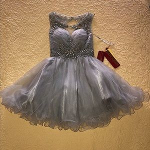 Short Silver Dress